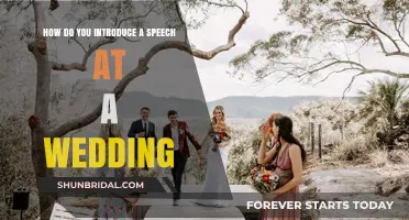 Mastering the Art of Introducing a Wedding Speech with Grace