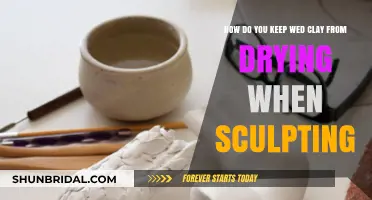 Preventing Wed Clay from Drying Out: Essential Sculpting Preservation Tips