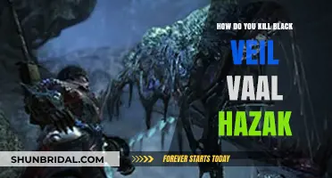 Mastering the Hunt: Effective Strategies to Defeat Black Veil Vaal Hazak