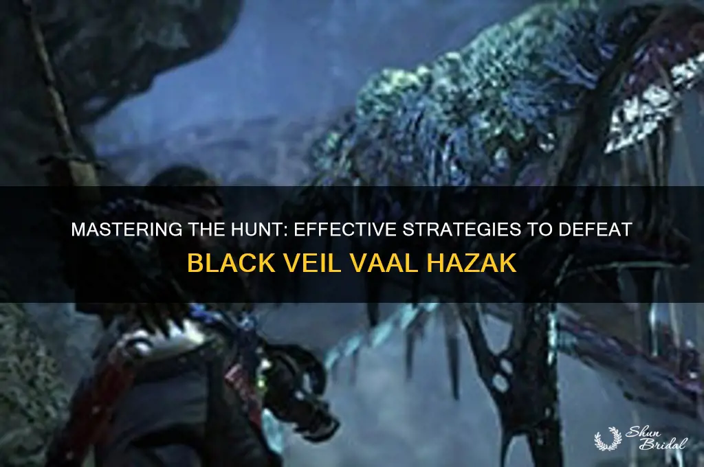 how do you kill black veil vaal hazak