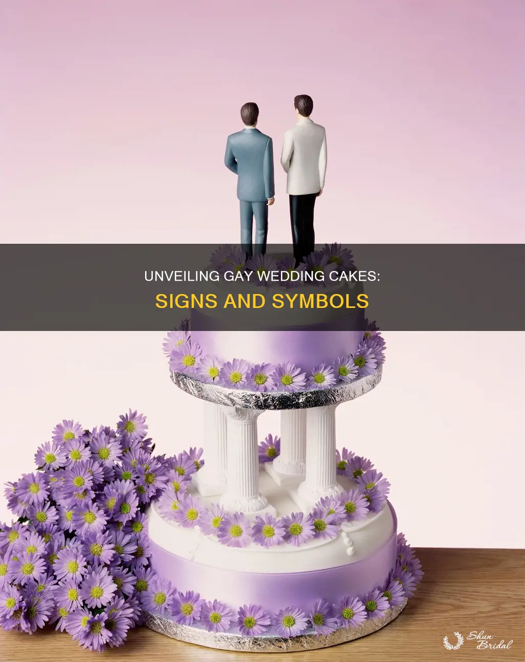 how do you know your wedding cake is gay