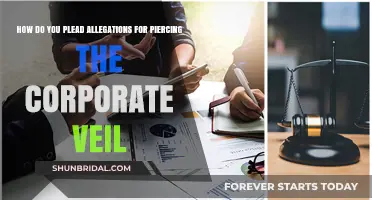 Piercing the Corporate Veil: Strategies to Defend Against Allegations