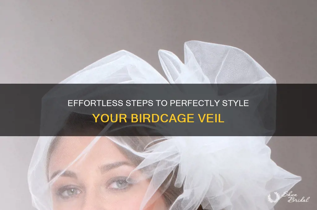 how do you put on a birdcage veil