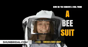 Quick Guide: Removing a Veil from Your Bee Suit Safely