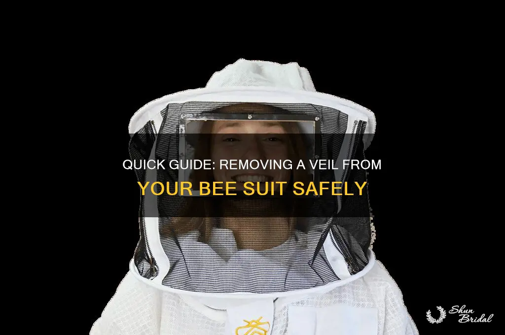 how do you remove a veil from a bee suit