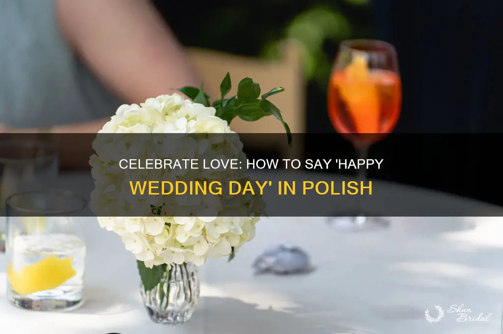 how do you say happy wedding day in polish