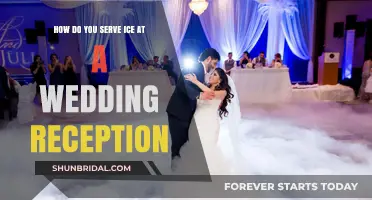 Creative Ways to Serve Ice at Your Wedding Reception
