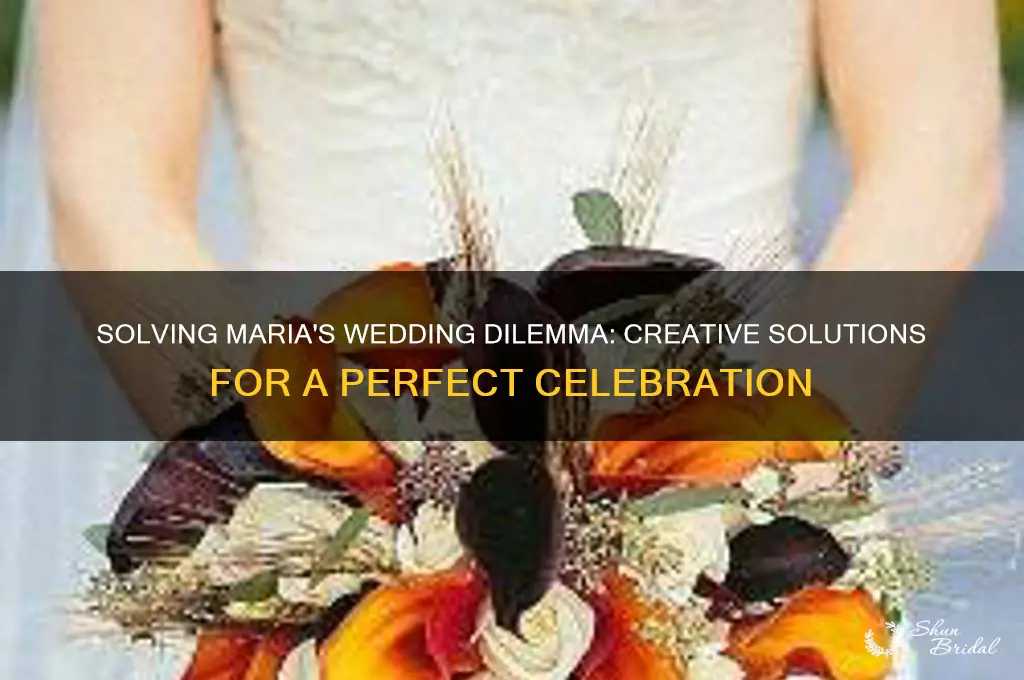 how do you solve a problem like maria wedding