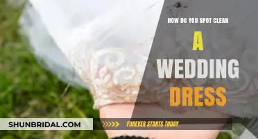 Spot-Cleaning Your Wedding Dress: A Step-by-Step Guide