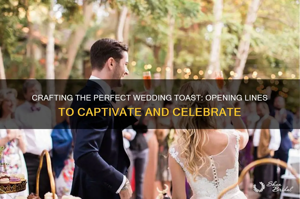 how do you start a toast speech at a wedding