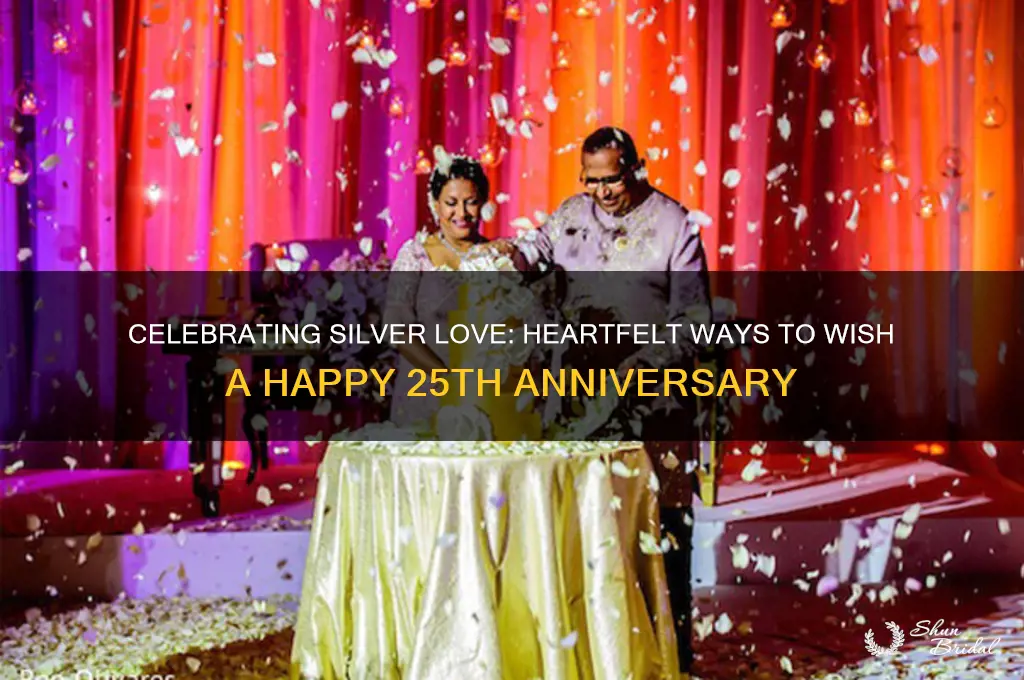 how do you wish someone a 25th wedding anniversary