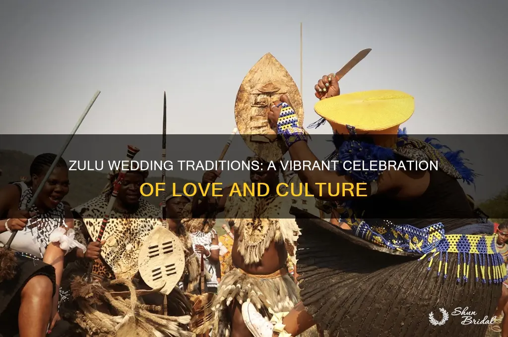 how do zulu celebrate their wedding