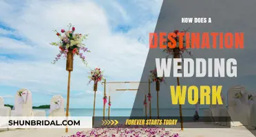 Destination Wedding Guide: Planning, Costs, and Tips for Success