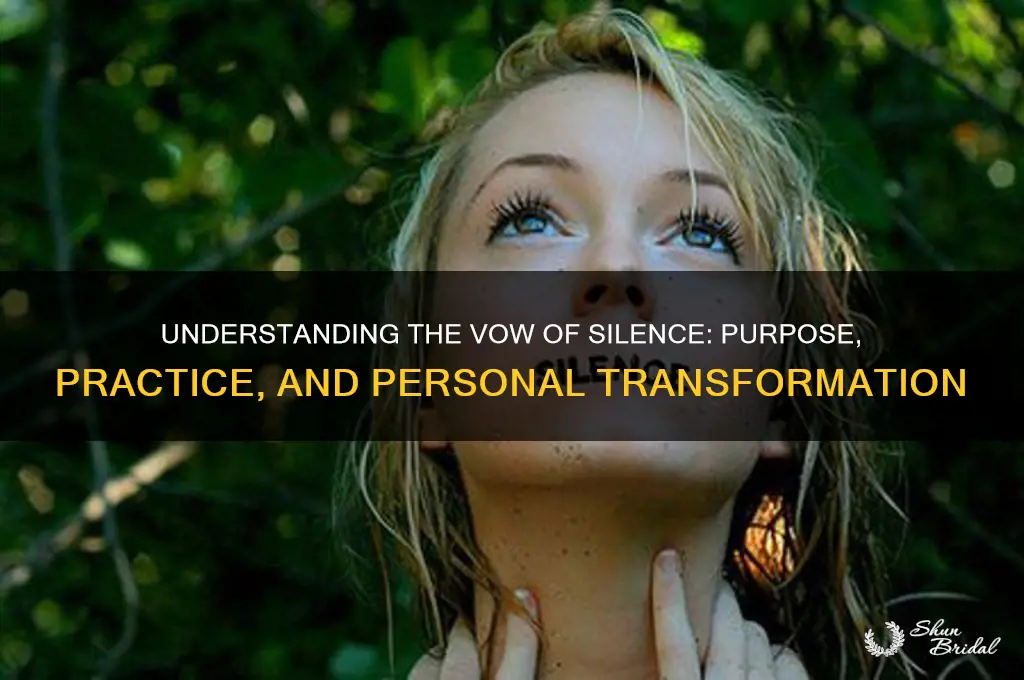 how does a vow of silence work