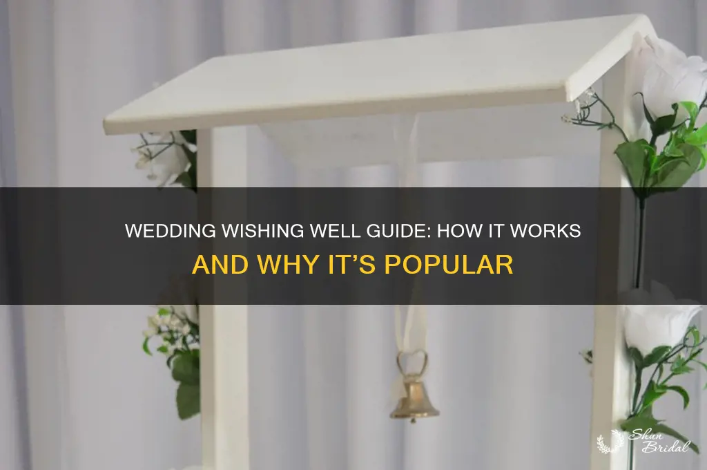 how does a wedding wishing well work