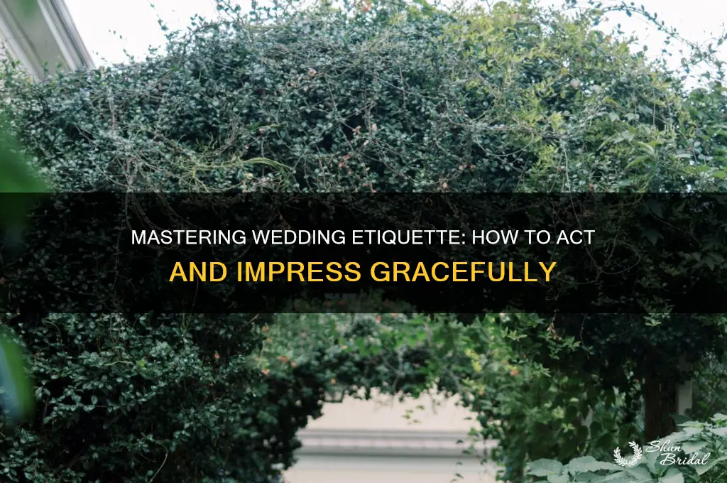 how does act like at a wedding