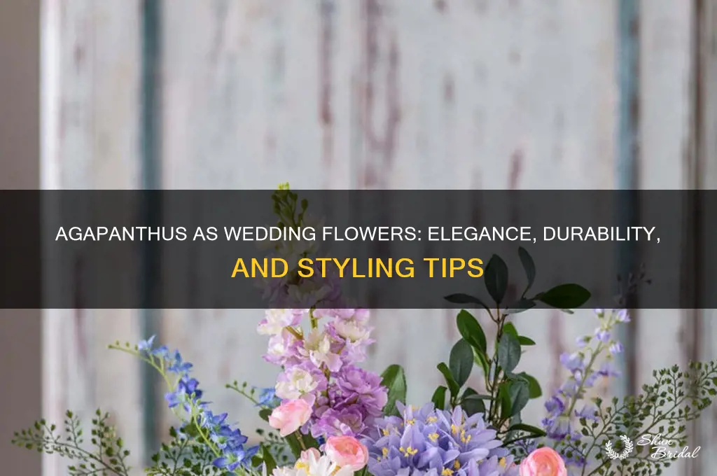 how does agapanthus hold up as a wedding flower
