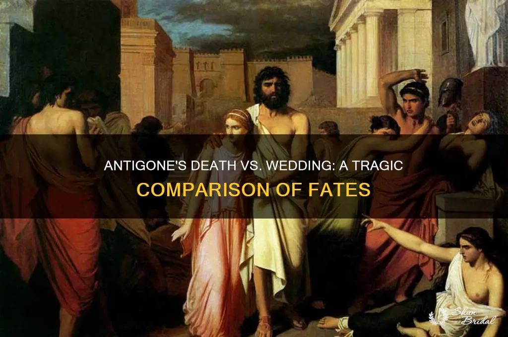 how does antigone compare her death to her wedding