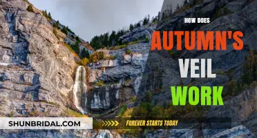 Understanding Autumn's Veil: Mechanics, Effects, and Seasonal Transformation Explained