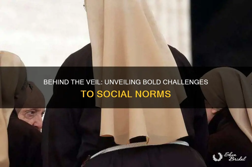 how does behind the veil challenge social norms