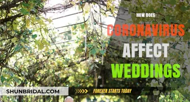Coronavirus Impact: Navigating Wedding Challenges and New Celebratory Norms
