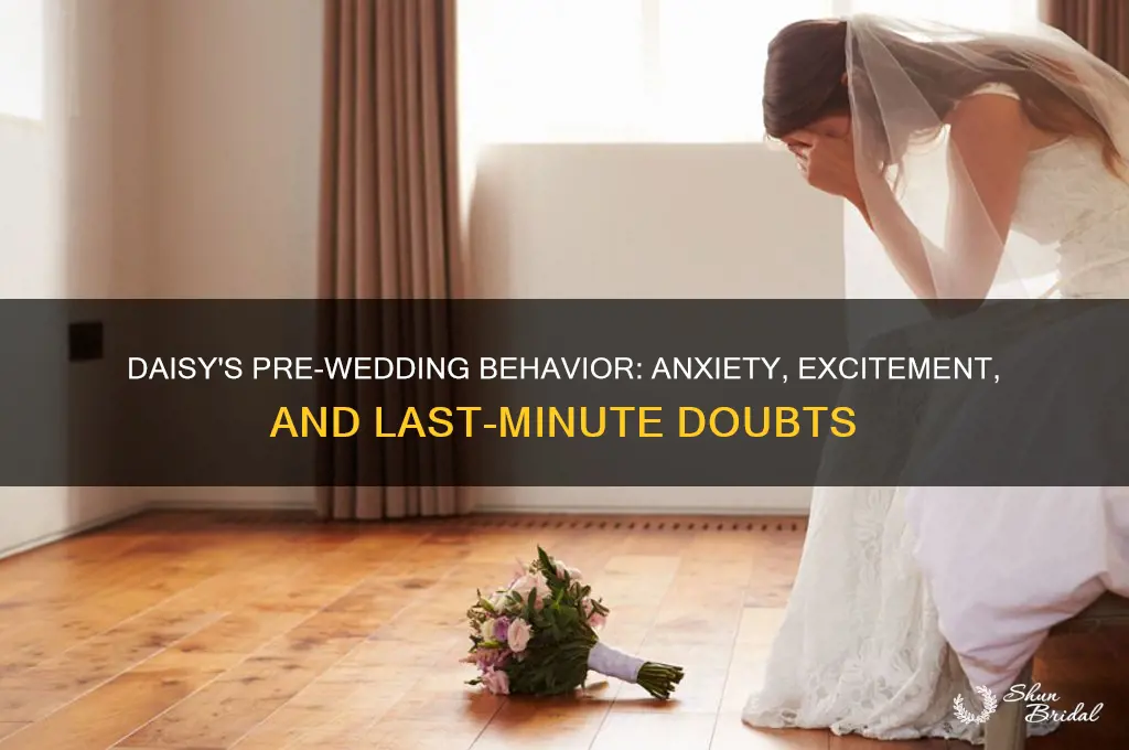 how does daisy act before her wedding