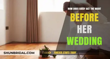Daisy's Pre-Wedding Night: Anxiety, Doubt, or Celebration?