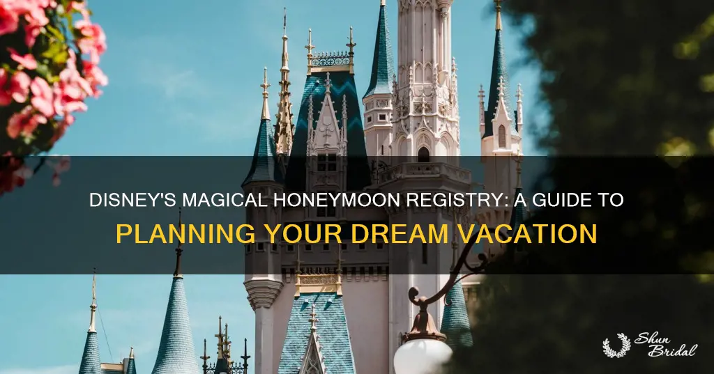 how does disney honeymoon registry work