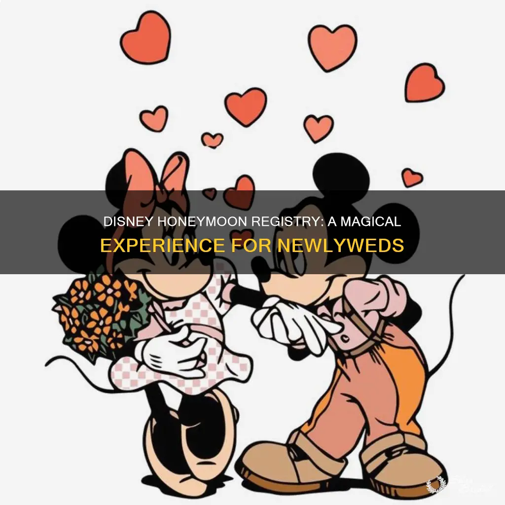 how does disney honeymoon registry work