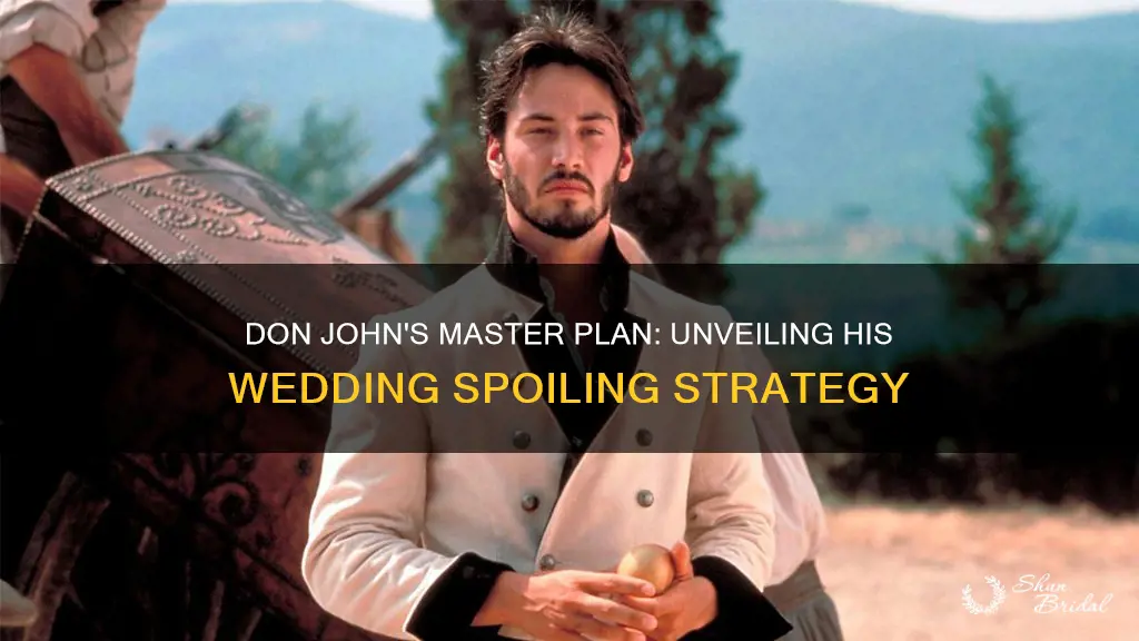 how does don john plan to spoil the wedding