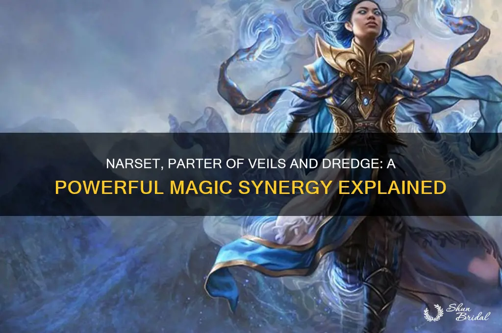 how does dredge work with narset parter of veils