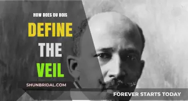 Unveiling Du Bois' Definition: The Veil's Significance in Racial Identity
