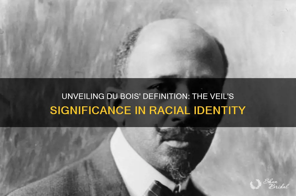 how does du bois define the veil