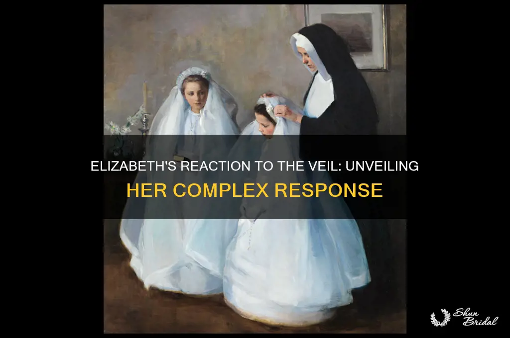 how does elizabeth respond to the veil
