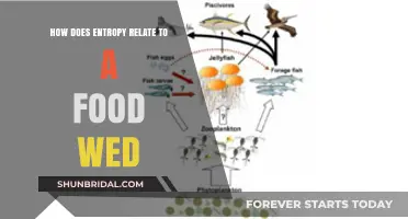 Entropy's Role in Food Webs: Unraveling Ecological Balance and Disorder