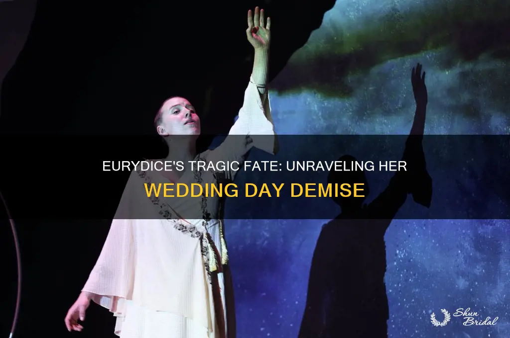 how does eurydice die on her wedding day