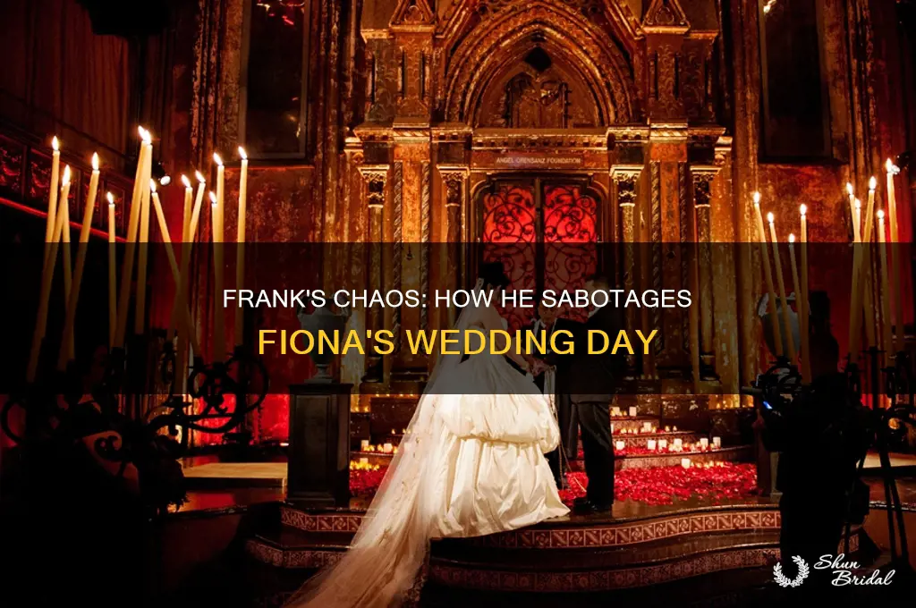 how does frank ruin fiona