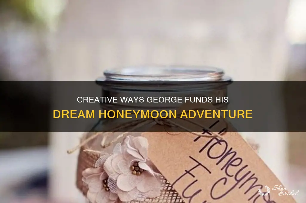 how does george finance the honeymoon
