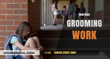 Understanding Grooming: Tactics and Prevention Strategies