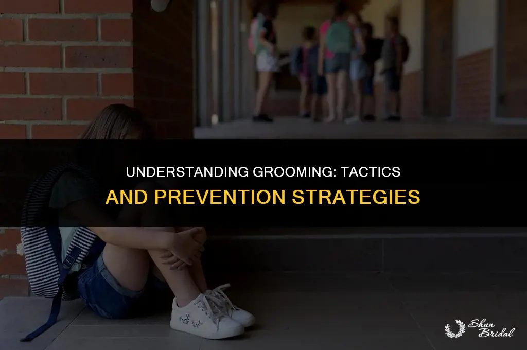 how does grooming work
