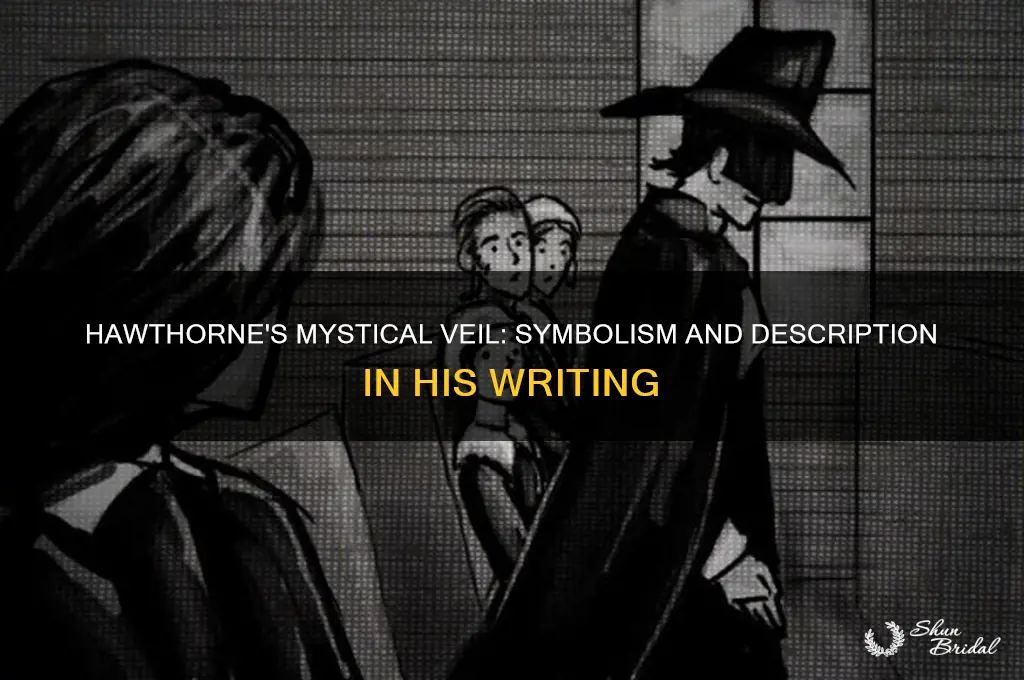 how does hawthorne describe the veil