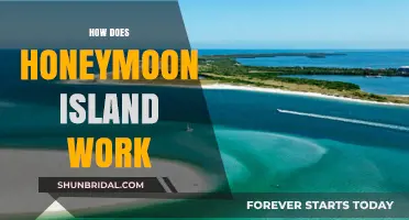 How Honeymoon Island Works: A Guide to Its Unique Concept