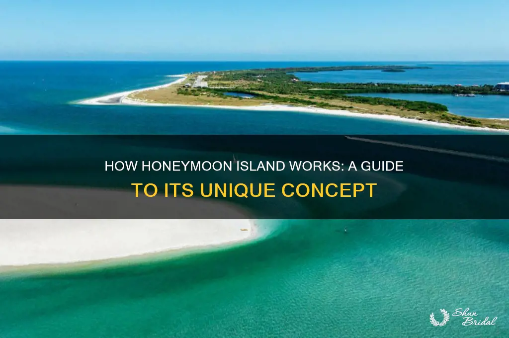 how does honeymoon island work