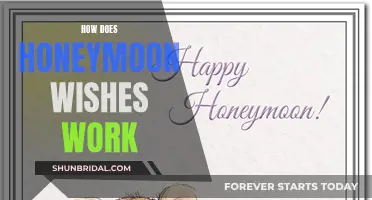 Honeymoon Wishes: How to Make it Work for You