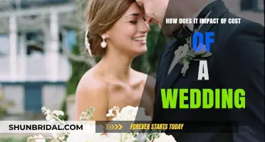 Wedding Costs: Factors Influencing Your Big Day's Financial Impact