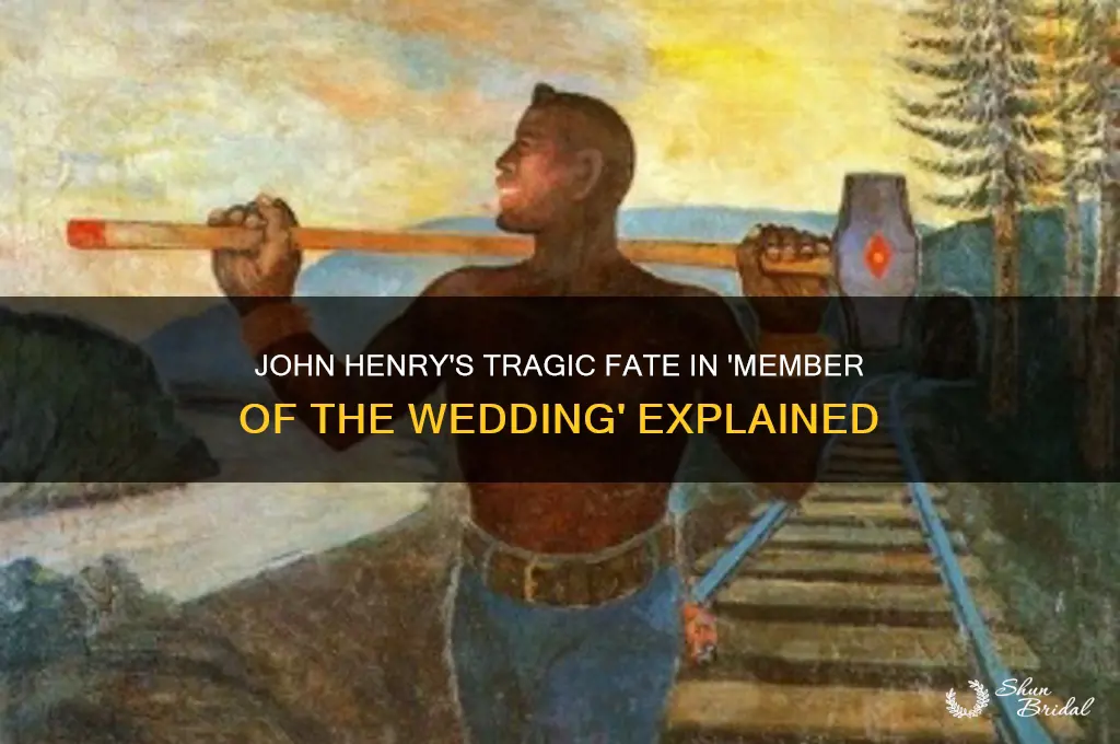 how does john henry die in member of the wedding