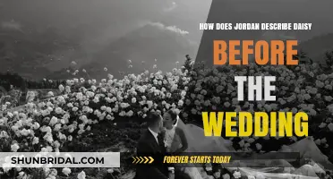 Jordan's Revealing Description of Daisy Before Her Wedding Day