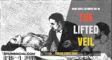 The Lifted Veil's Tragic End: Unraveling Latimer's Mysterious Death