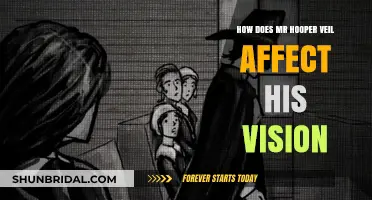 Mr. Hooper's Veil: Impact on Vision and Daily Life Explored