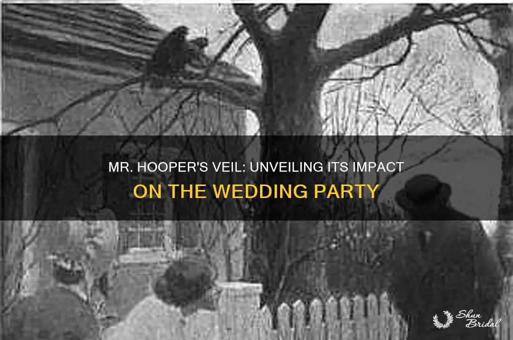 how does mr hooper